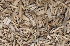 biomass boilers Capel